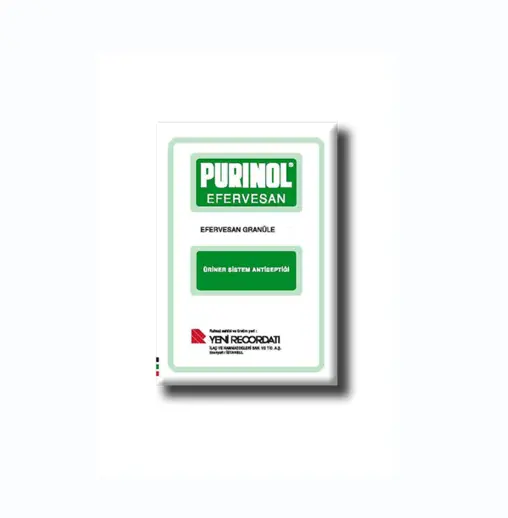 PURINOL EFERVESAN 140 GR GRANUL kutu görseli