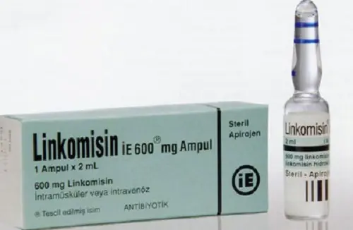 LINKOMISIN 600 MG 1 AMPUL kutu görseli