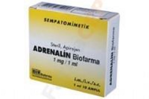 ADRENALIN BIOFARMA 1 mg/1 ml 10 ampül kutusunun resmi