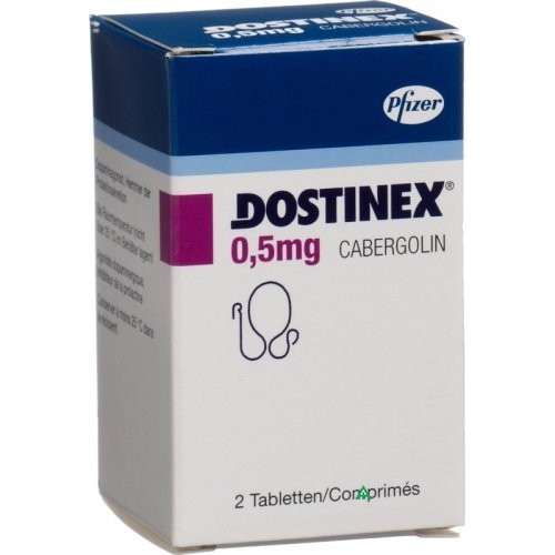 DOSTINEX Prospektüsü