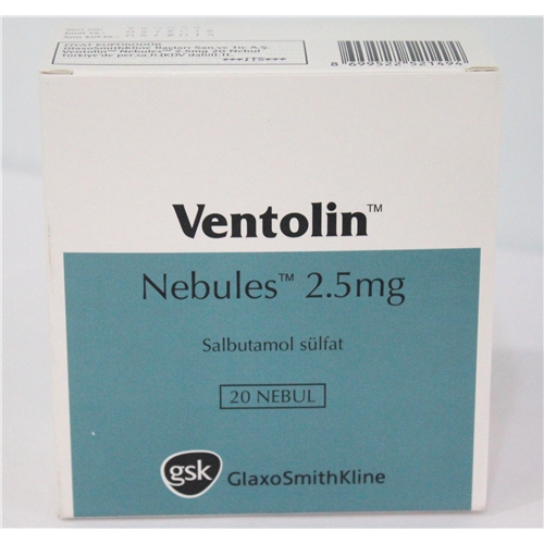 VENTOLIN NEBULES 2.5 ml 20 doz kutusunun resmi
