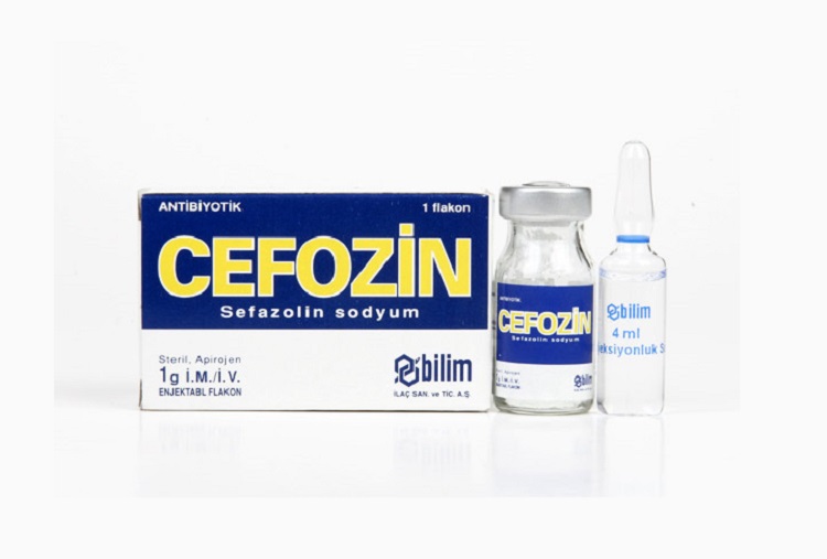 CEFOZIN 1 G IM/IV Flakon Eşdeğerleri